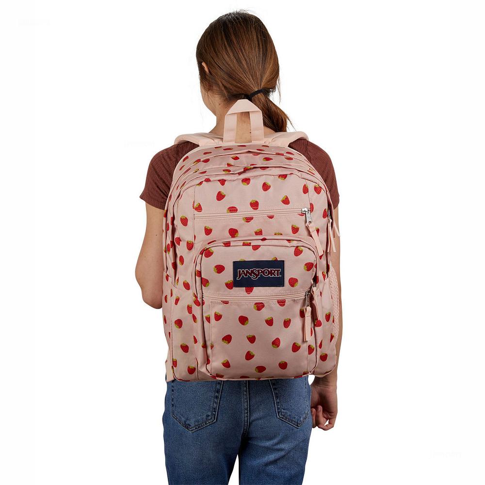 JanSport BIG STUDENT Laptop Sırt Çantası Pembe Kırmızı | TR_JS173