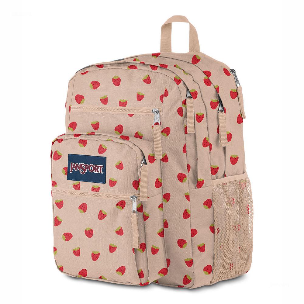 JanSport BIG STUDENT Laptop Sırt Çantası Pembe Kırmızı | TR_JS173