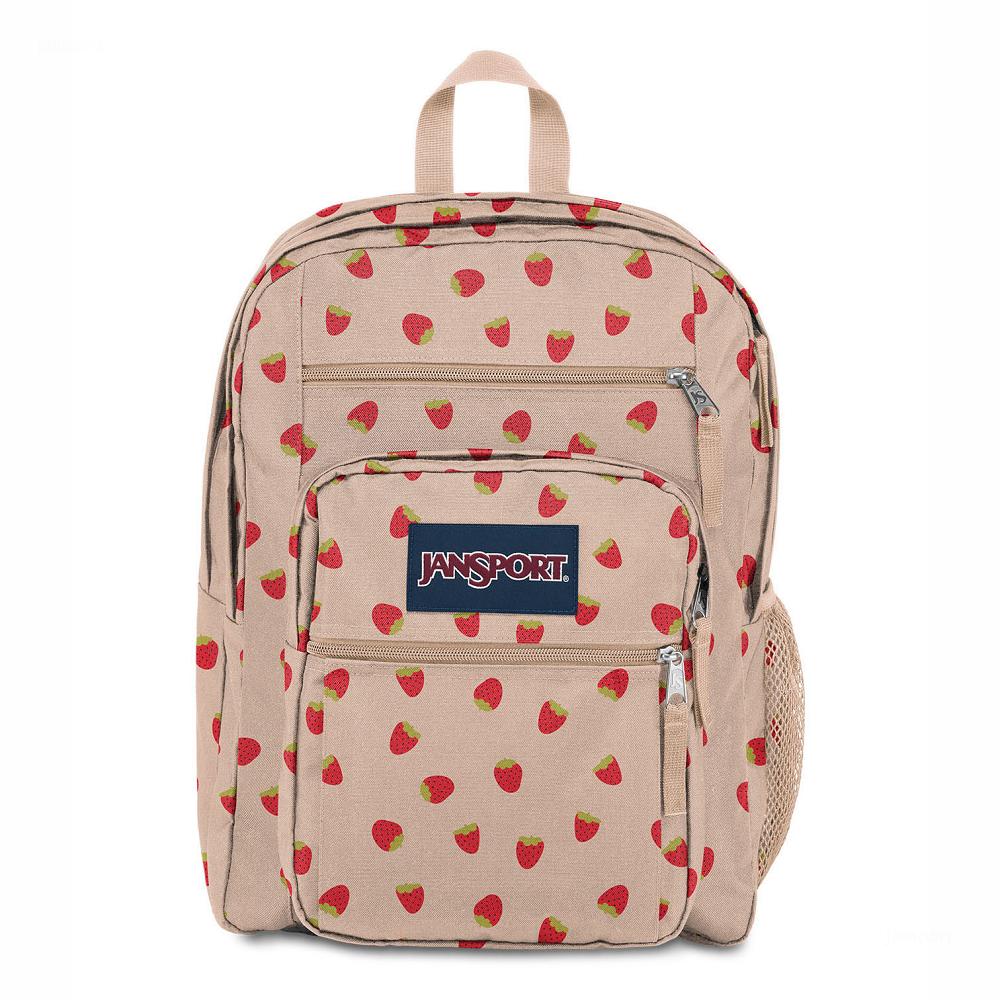 JanSport BIG STUDENT Laptop Sırt Çantası Pembe Kırmızı | TR_JS173