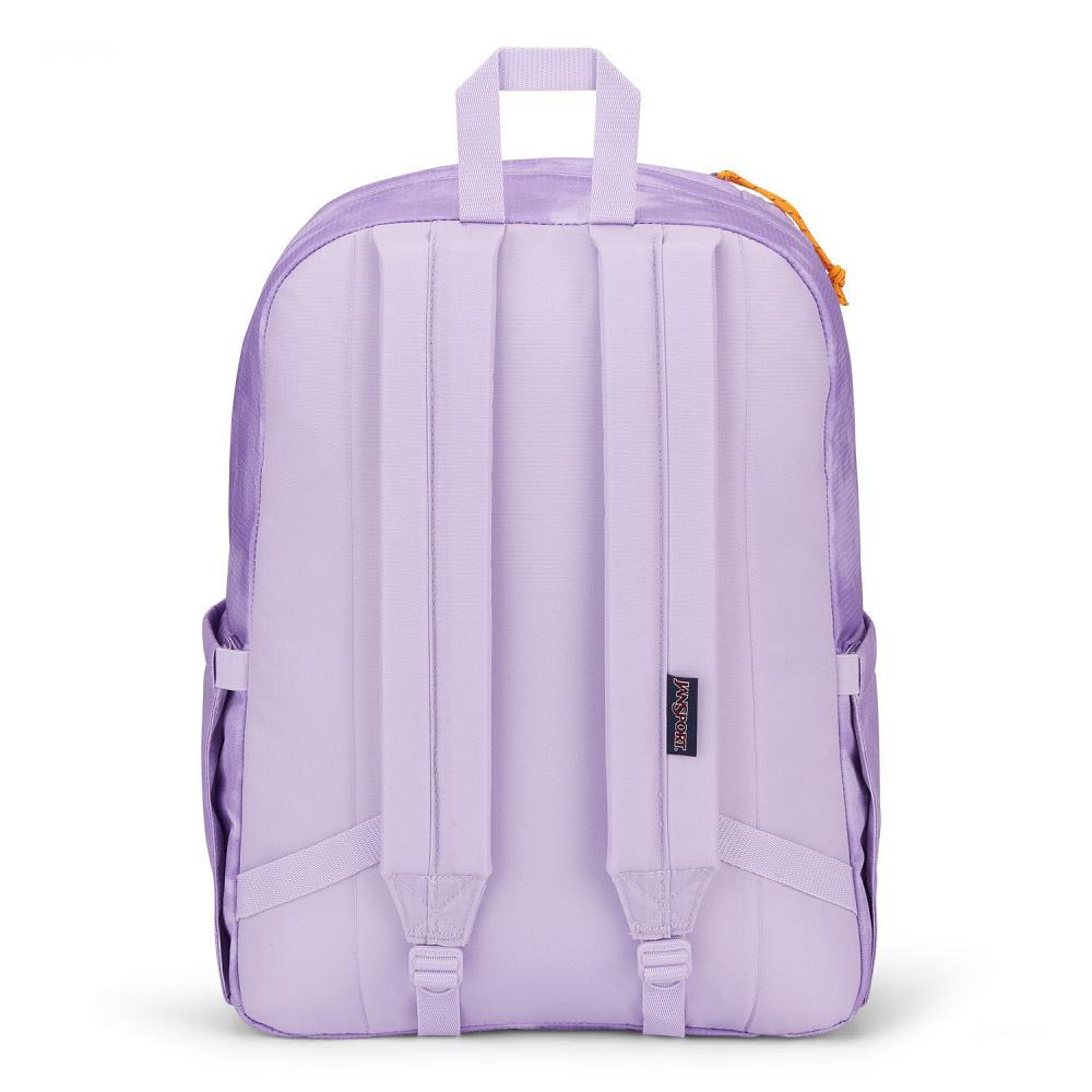 JanSport Double Break Okul Çantası Mor | TR_JS496