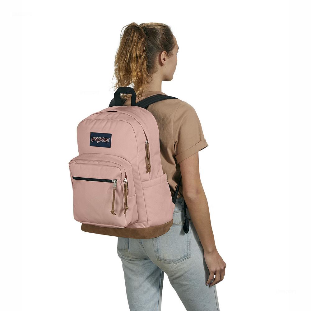 JanSport Right Pack Laptop Sırt Çantası Pembe | TR_JS346