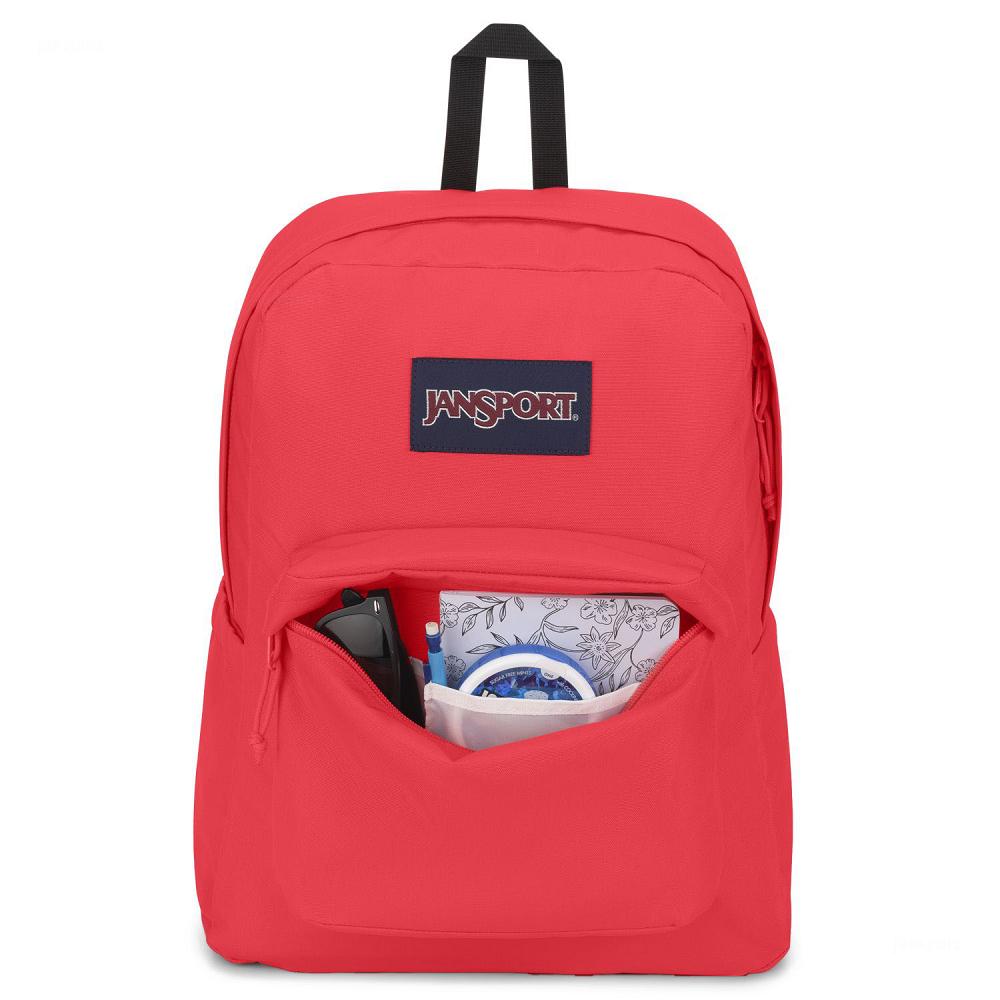 JanSport SuperBreak® Plus Laptop Sırt Çantası Pembe | TR_JS527