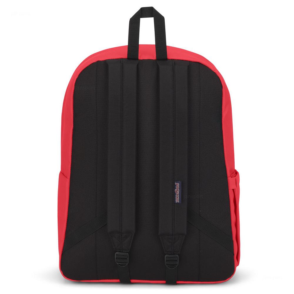 JanSport SuperBreak® Plus Laptop Sırt Çantası Pembe | TR_JS527