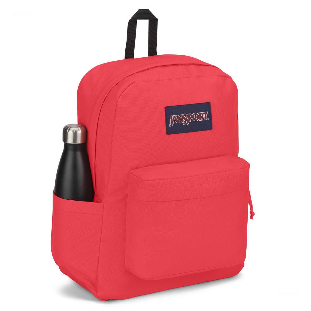 JanSport SuperBreak® Plus Laptop Sırt Çantası Pembe | TR_JS527