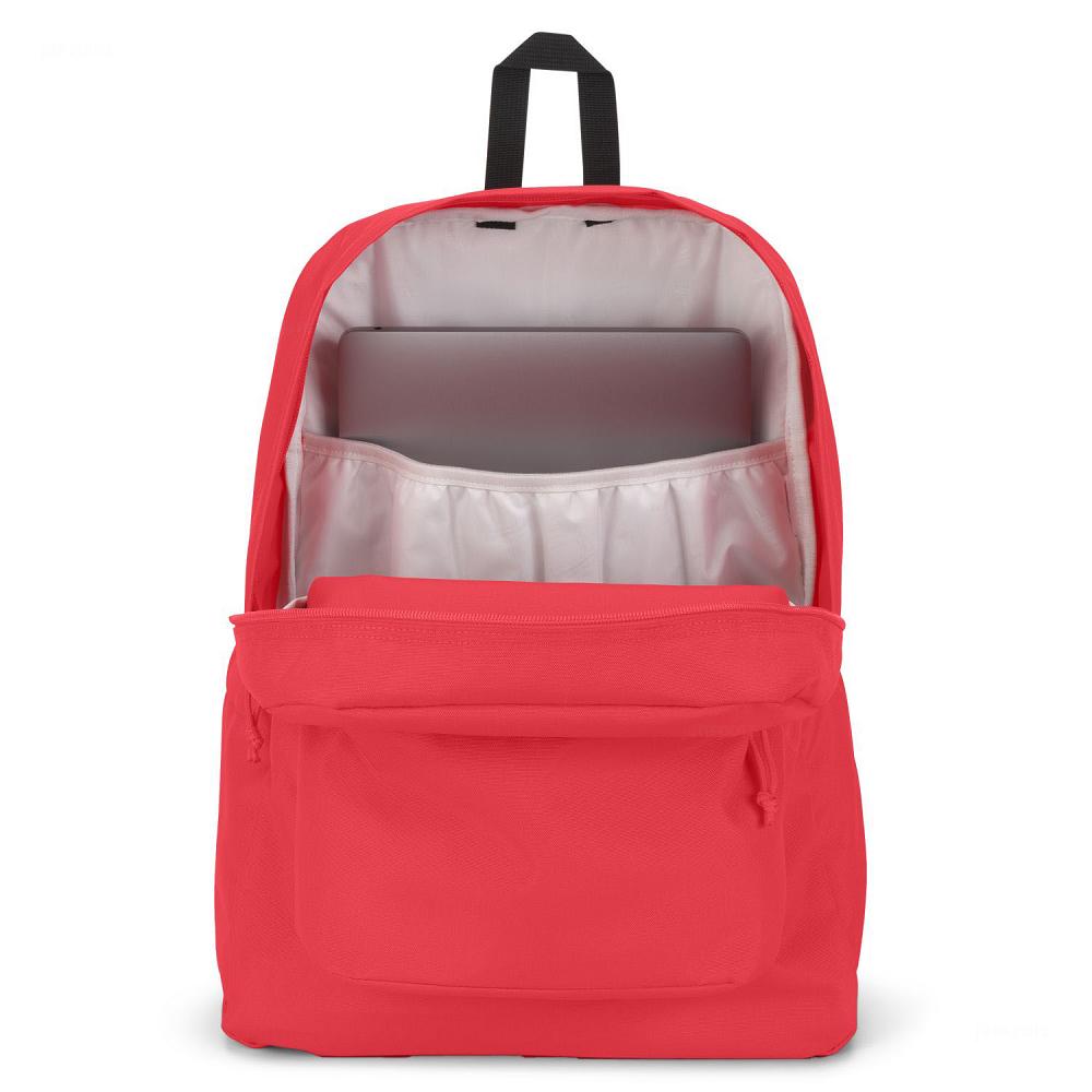 JanSport SuperBreak® Plus Laptop Sırt Çantası Pembe | TR_JS527