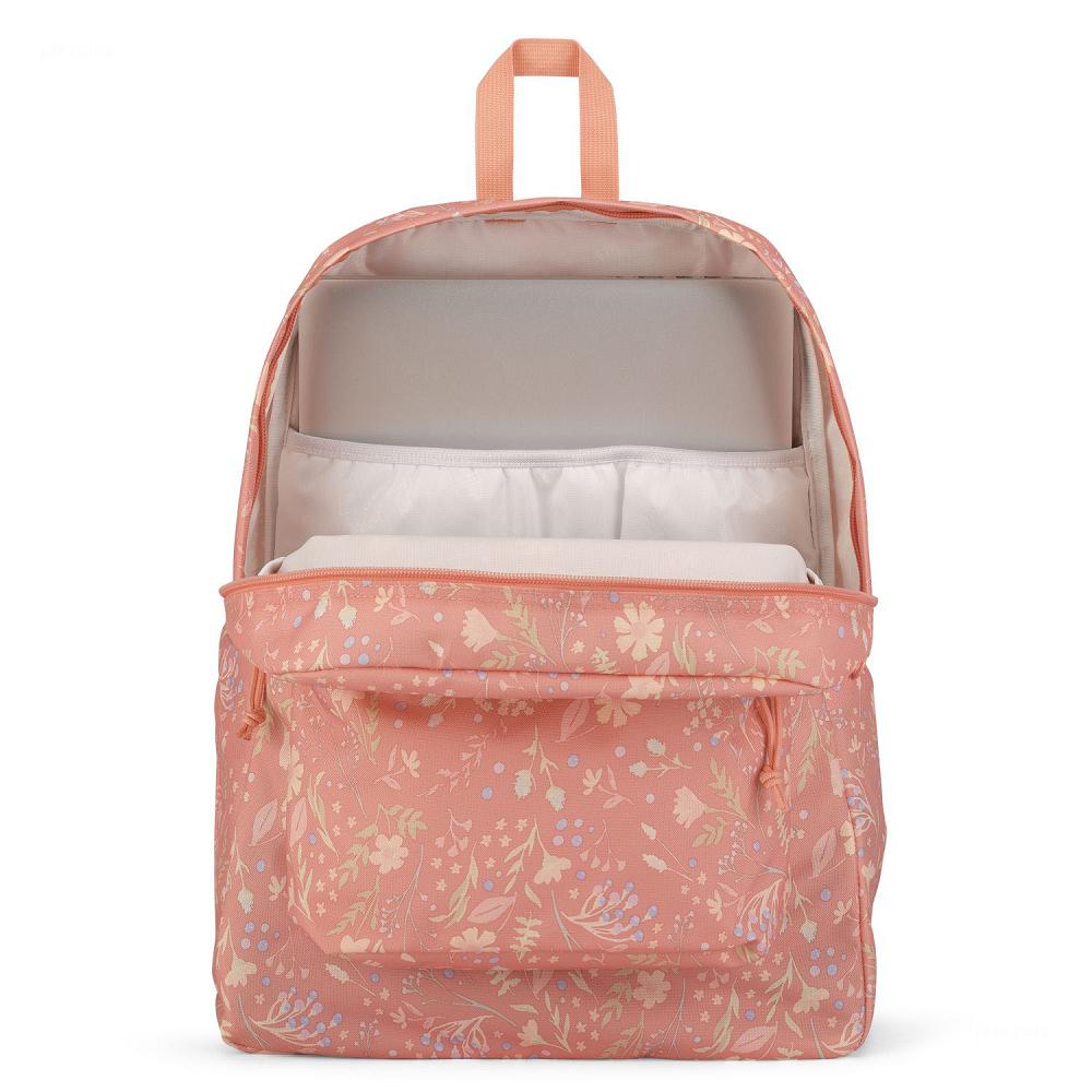 JanSport SuperBreak® Plus Okul Çantası Pembe | TR_JS392