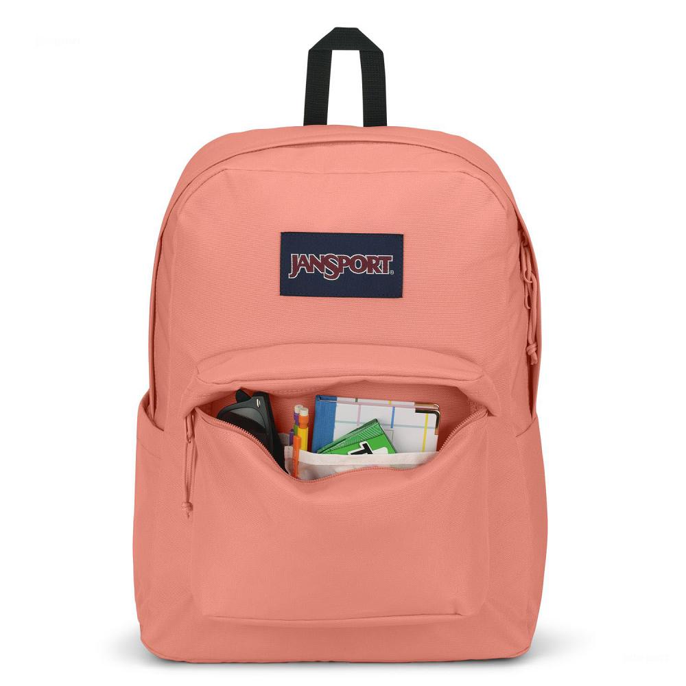 JanSport SuperBreak® Plus Okul Çantası Pembe | TR_JS564