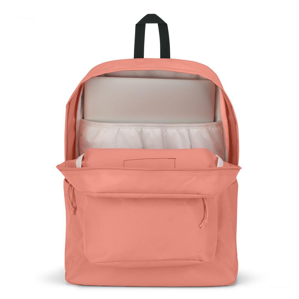 JanSport SuperBreak® Plus Okul Çantası Pembe | TR_JS564