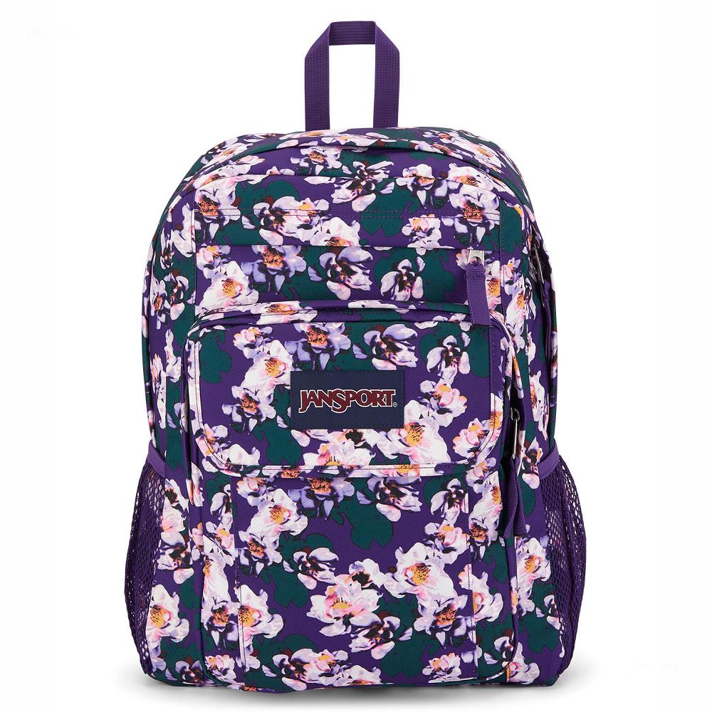 JanSport UNION PACK Laptop Sırt Çantası Mor | TR_JS018