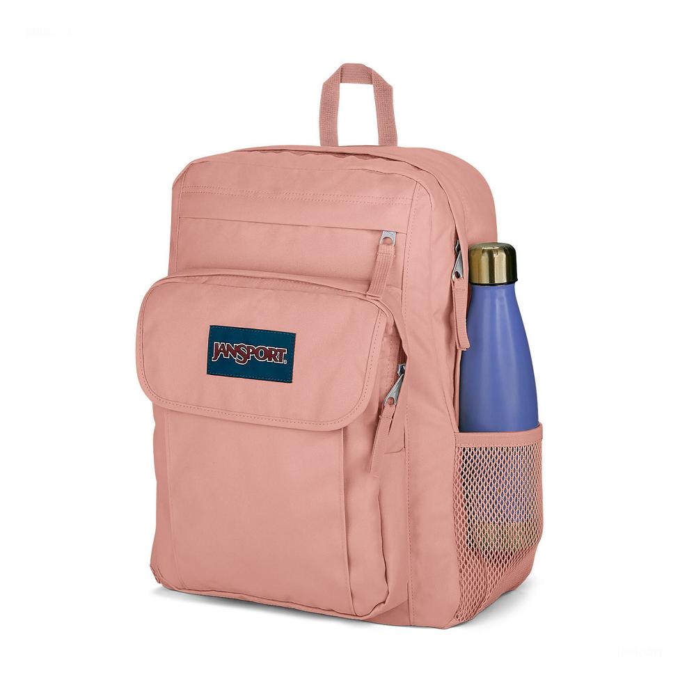JanSport UNION PACK Laptop Sırt Çantası Pembe | TR_JS473